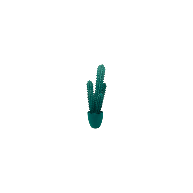 Prickly cactus