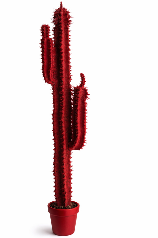 Cactus 153cm