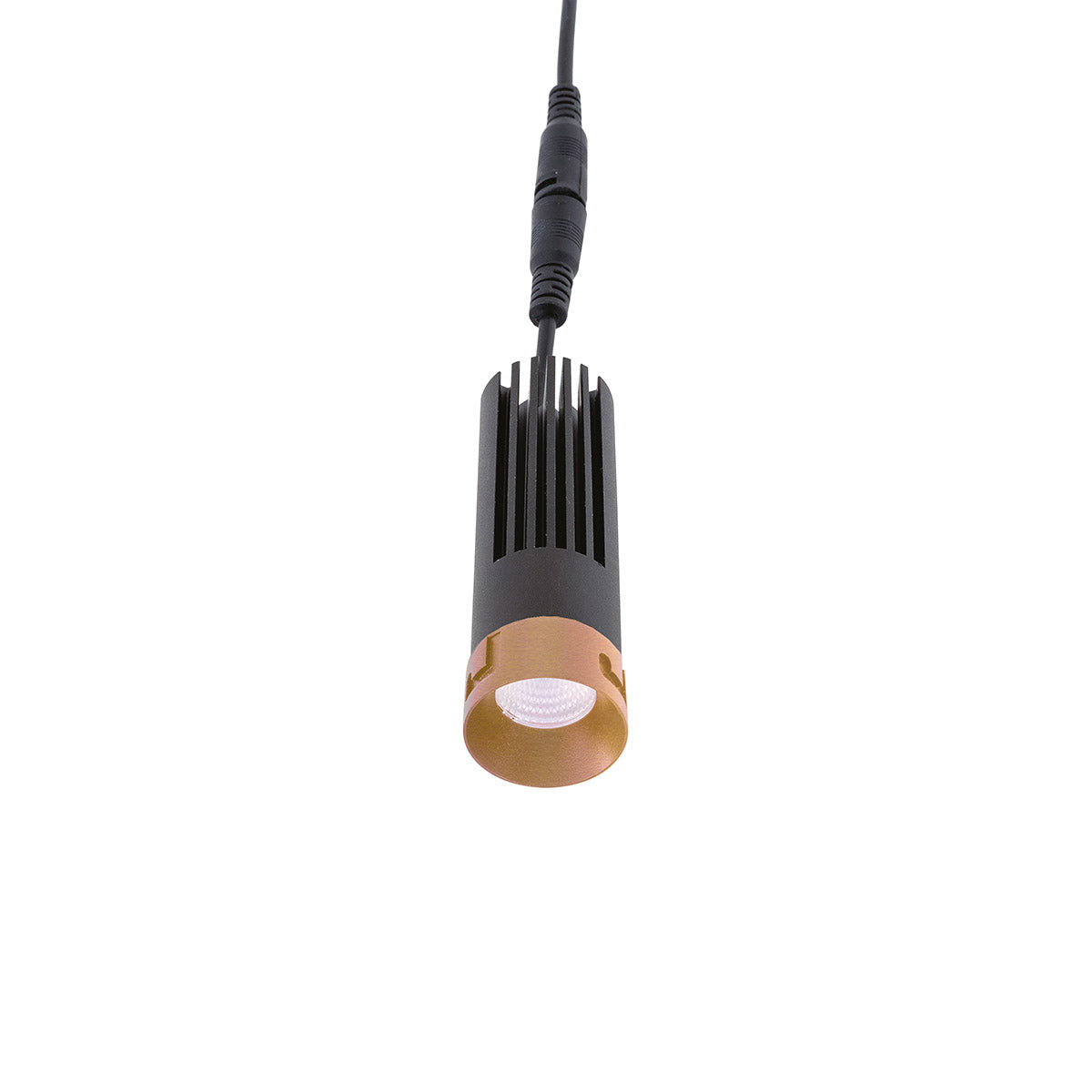 AXON faretto