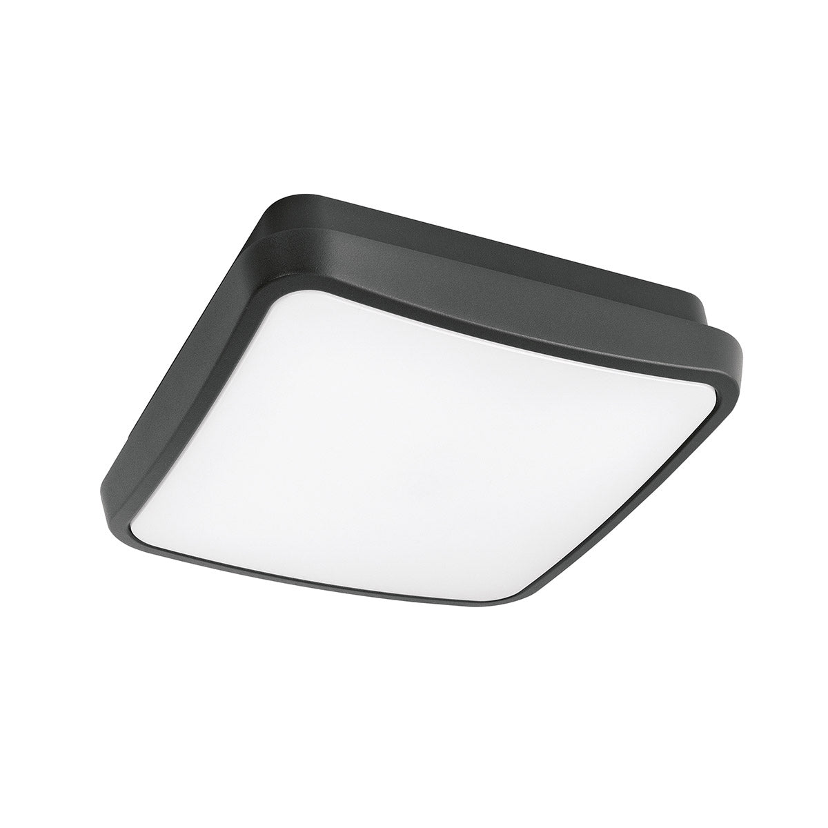Midnight lampada da soffitto