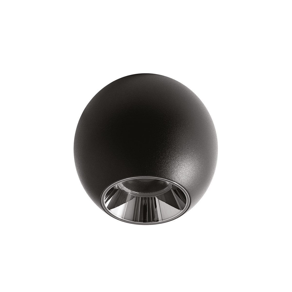 Orbita Pure