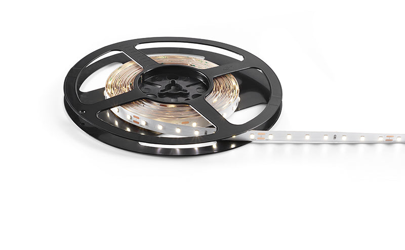 STRIP LED 14.4W/m - 10 mm 24Vdc