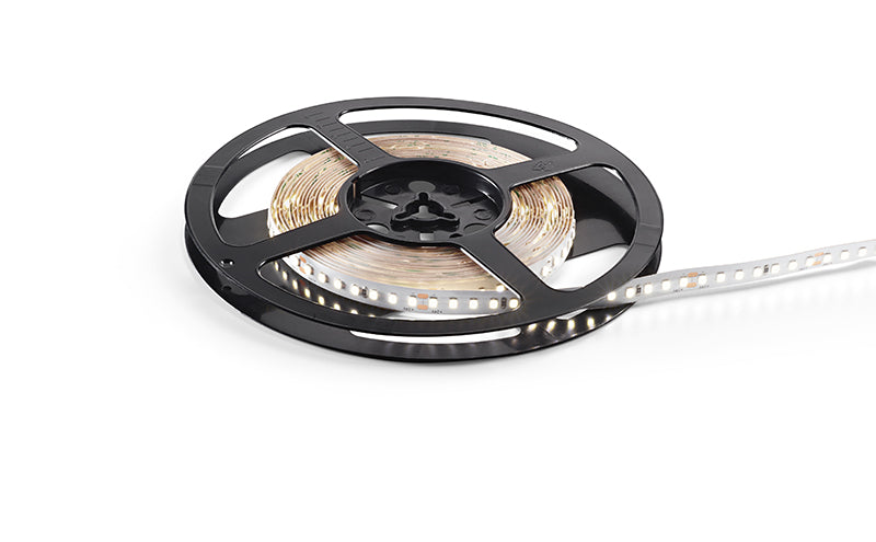 STRIP LED 19.2W/m - 10 mm 24Vdc