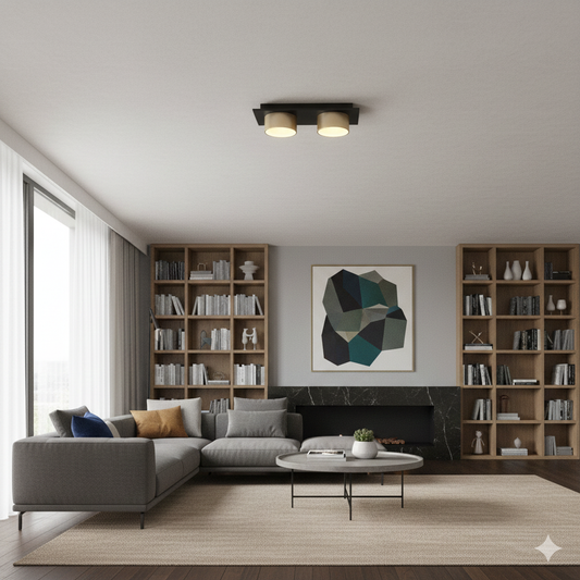 Raymond plafoniera a 2