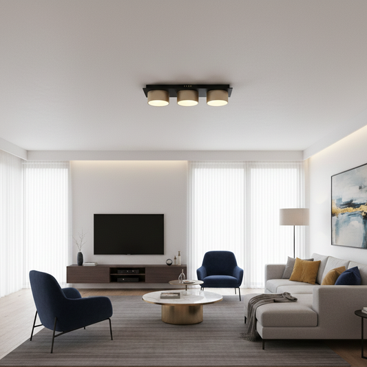 Raymond plafoniera a 3