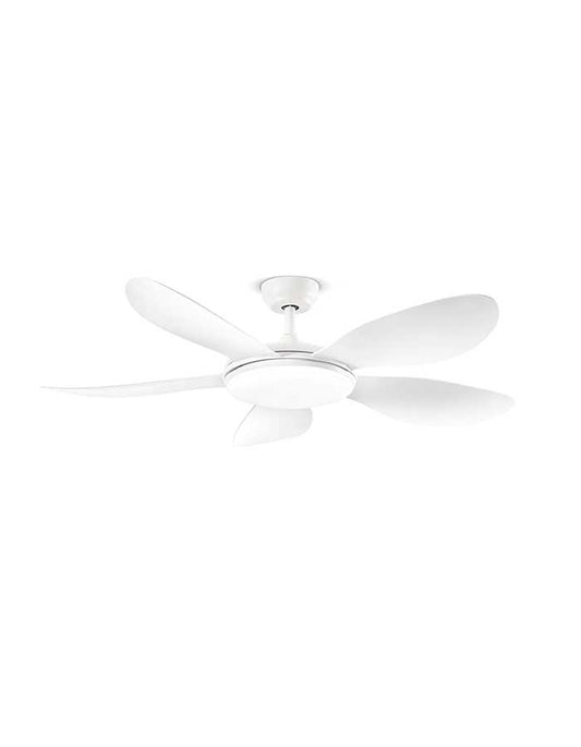 Lotus ventilatore