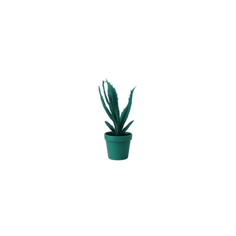 Aloe