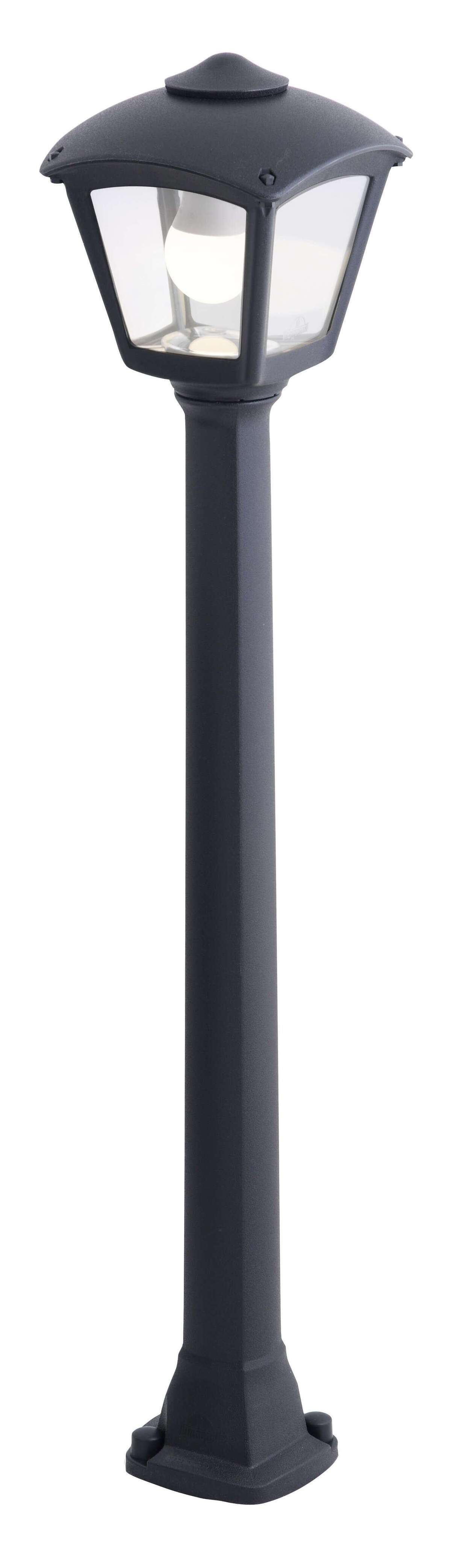 Larici paletto 100cm