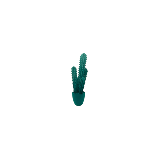 Prickly cactus