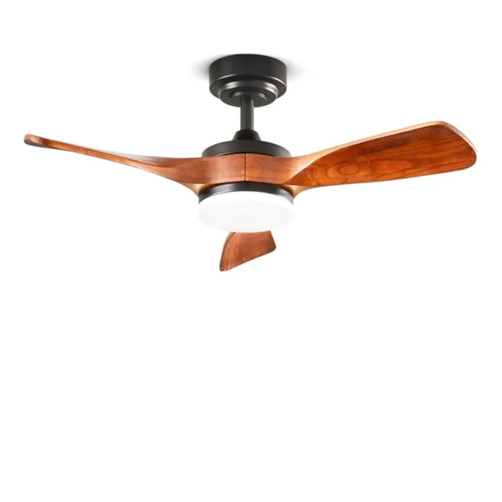 Arya ventilatore